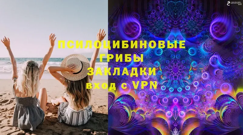 Галлюциногенные грибы Magic Shrooms  Новохопёрск 